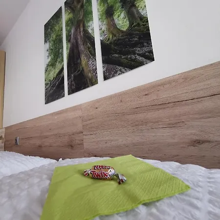 Mit Doppelbett Oder 2 Einzelbetten バート・アウスゼー