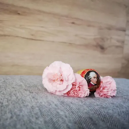 Apartment Mit Doppelbett Oder 2 Einzelbetten