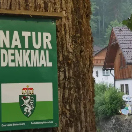 Mit Doppelbett Oder 2 Einzelbetten Apartment *