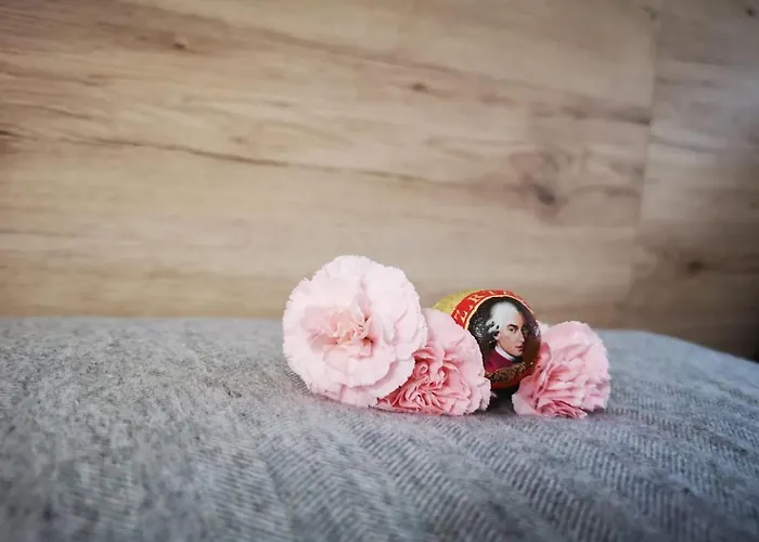 Apartman Mit Doppelbett Oder 2 Einzelbetten